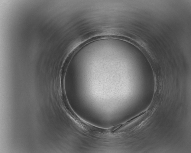 X0000061120982200511241705