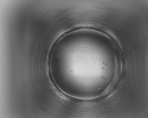 X0000061120984200511241705