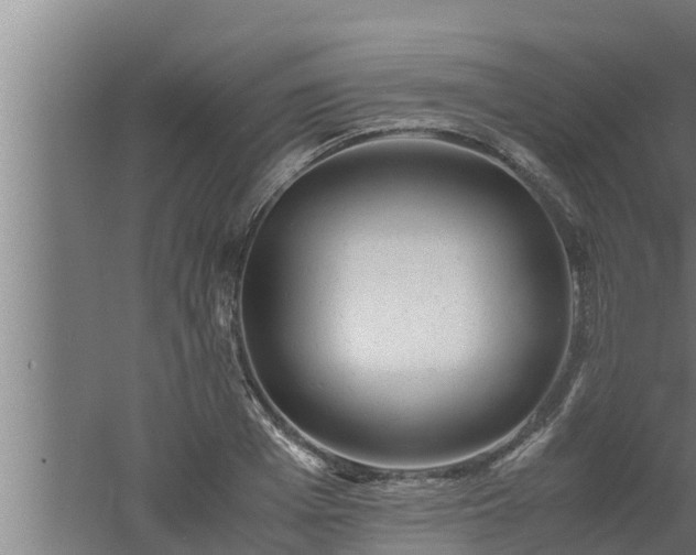 X0000061120985200511241705