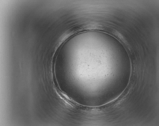 X0000061120986200511241705