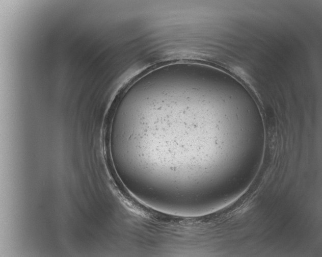 X0000061120987200511241705