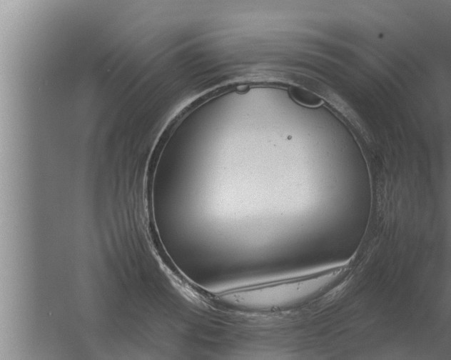 X0000061120988200511241705