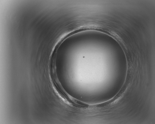 X0000061120989200511241705