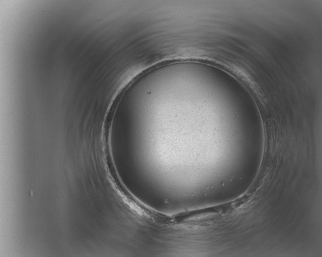 X0000061120990200511241705