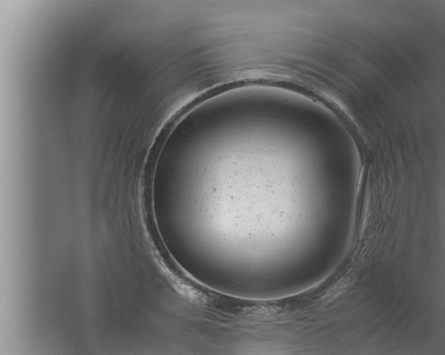 X0000061120991200511241705