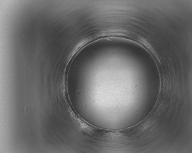 X0000061120994200511241705