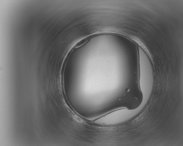 X0000061120996200511241705