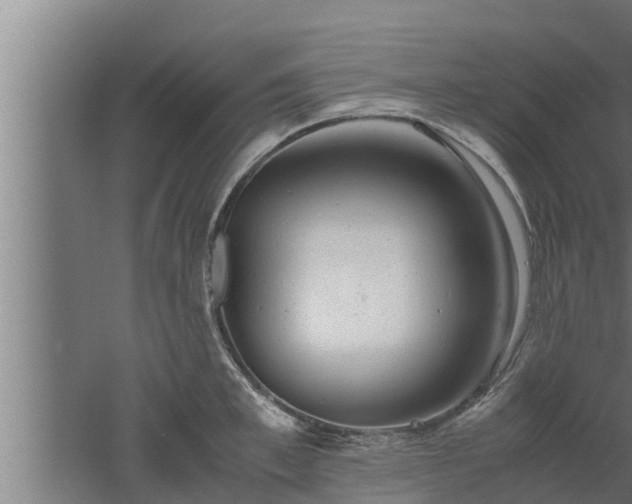 X0000061120997200511241705