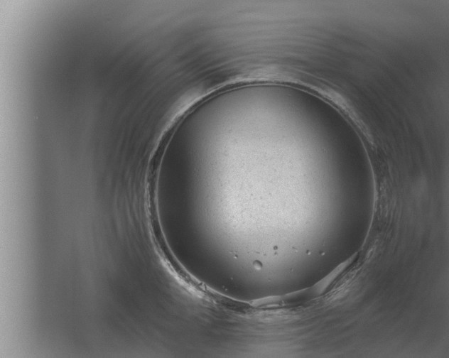 X0000061120998200511241705