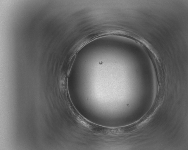 X0000061121001200511241705