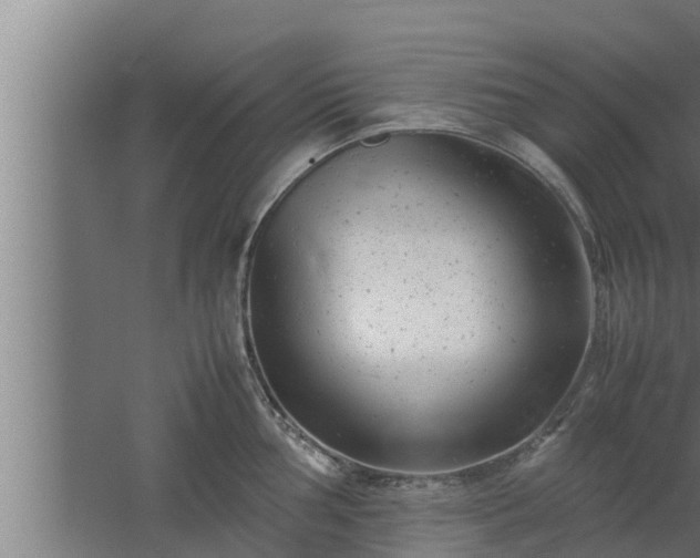 X0000061121002200511241705