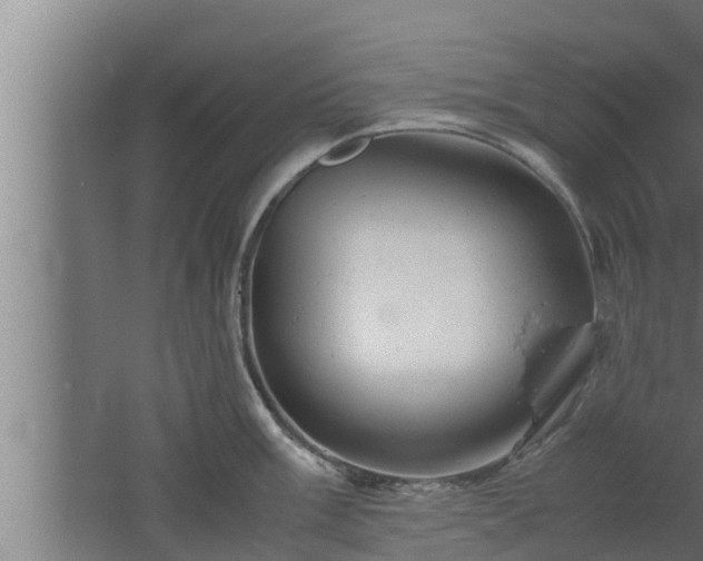 X0000061121003200511241705