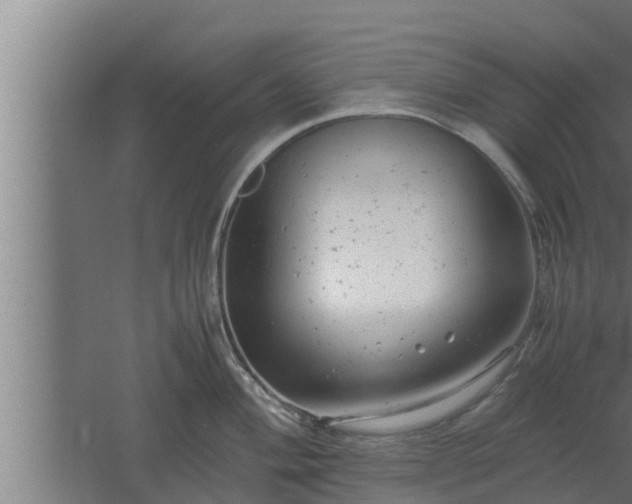 X0000061121004200511241705