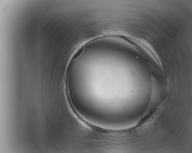 X0000061121005200511241705