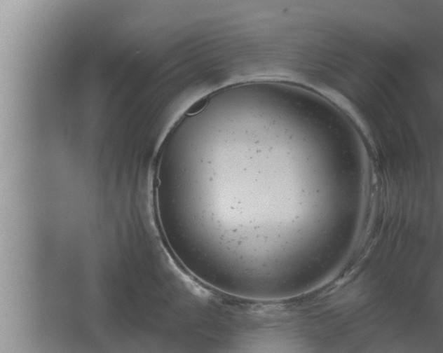 X0000061121006200511241705