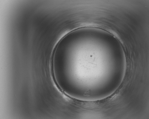 X0000061121007200511241705