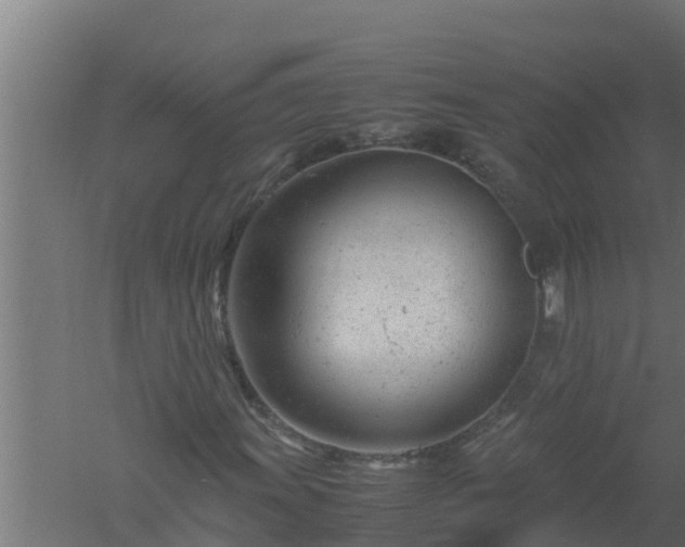 X0000061121011200511241704