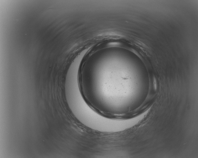 X0000061121014200511241704