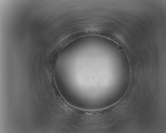 X0000061121015200511241704