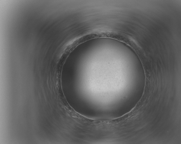 X0000061121016200511241704