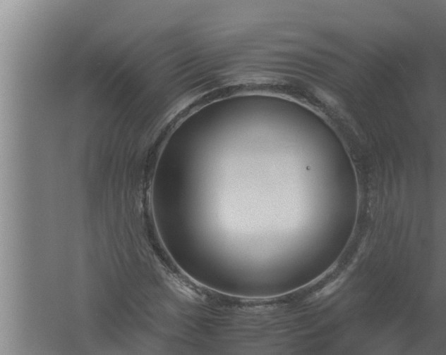 X0000061121017200511241704