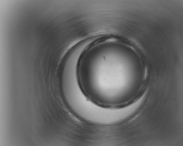 X0000061121018200511241704