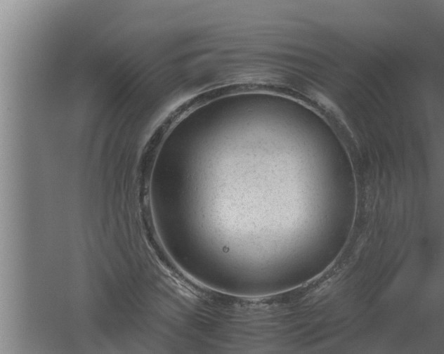 X0000061121019200511241704