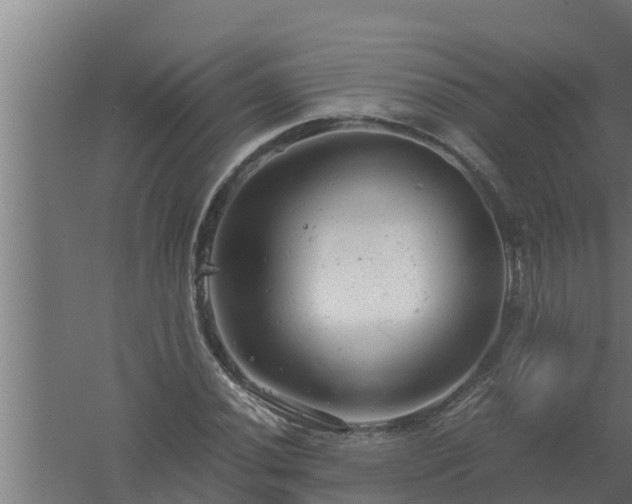 X0000061121020200511241704