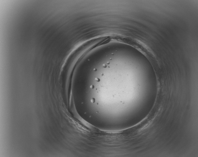 X0000061121021200511241704