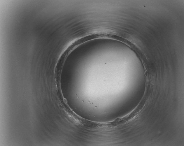 X0000061121022200511241704