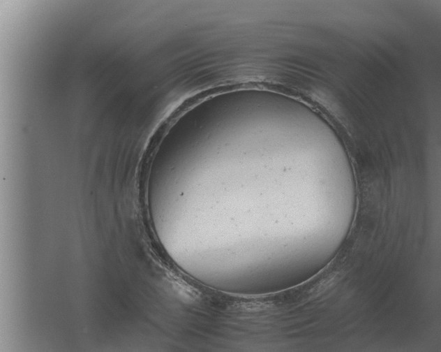 X0000061121023200511241704