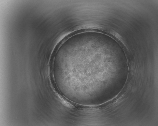 X0000061121024200511241704