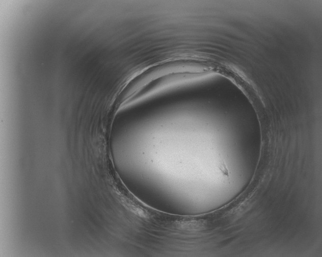 X0000061121025200511241704