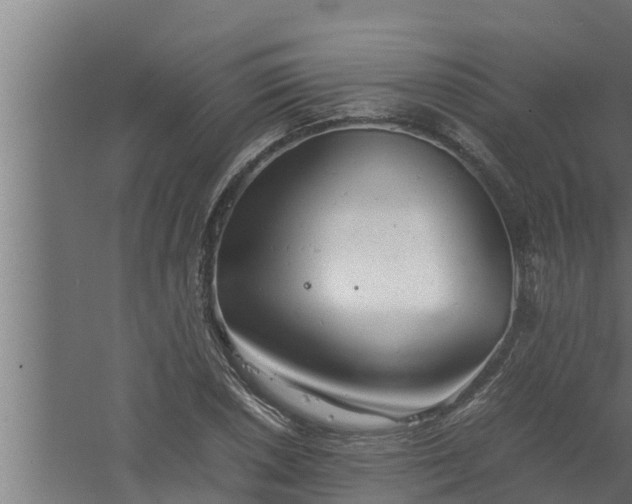 X0000061121026200511241704