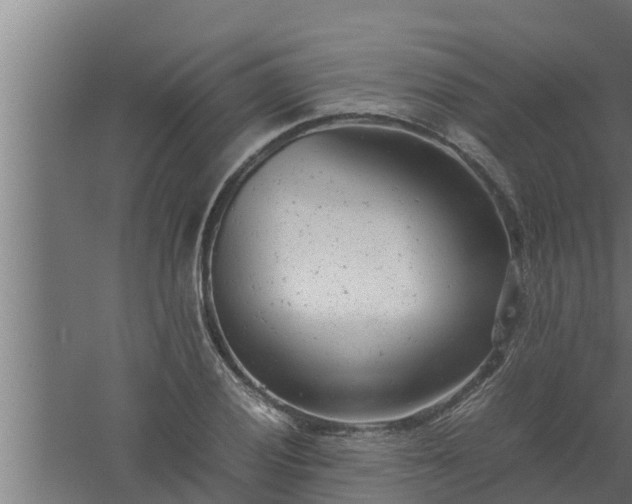 X0000061121028200511241704