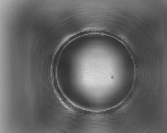 X0000061121030200511241704