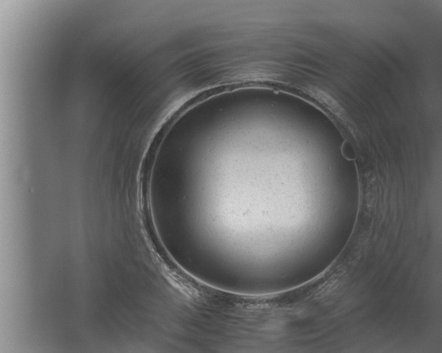 X0000061121031200511241704