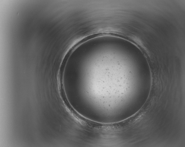 X0000061121032200511241704