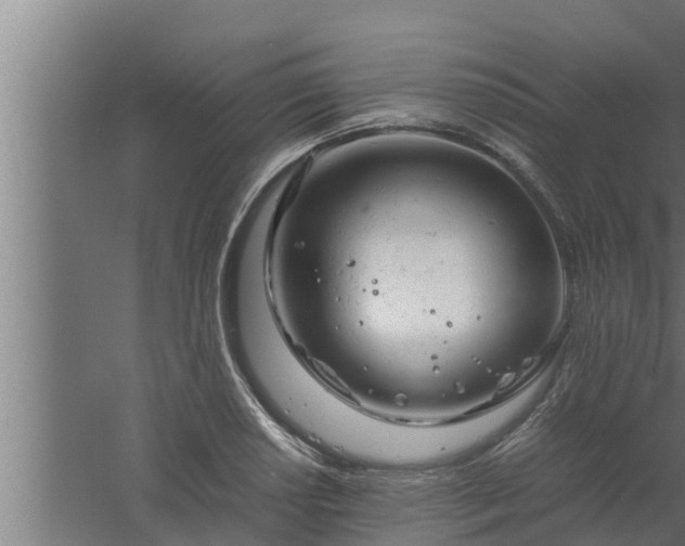 X0000061121034200511241704