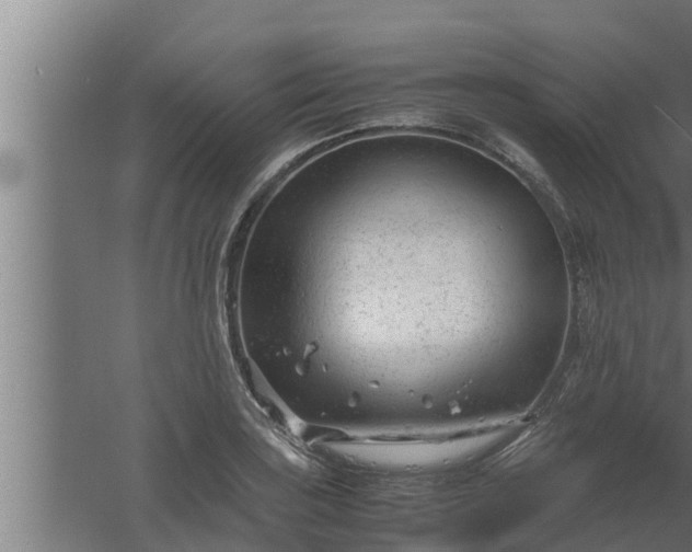 X0000061121035200511241704