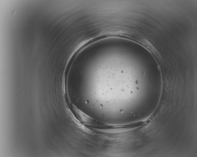 X0000061121036200511241704