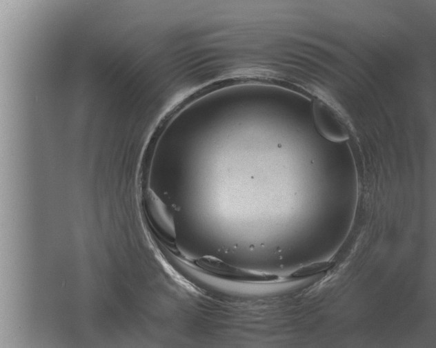 X0000061121037200511241704