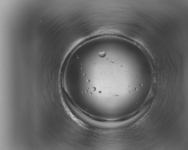 X0000061121038200511241704