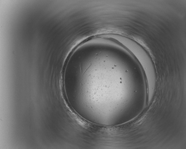 X0000061121040200511241704