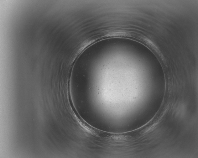 X0000061121041200511241704