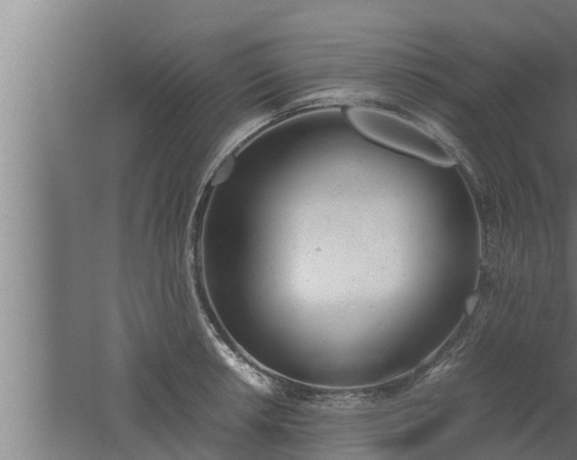 X0000061121042200511241704