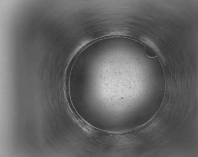 X0000061121043200511241704