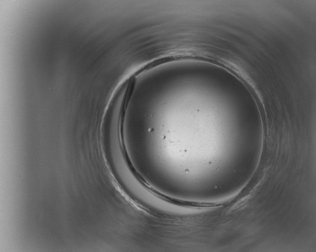 X0000061121045200511241704