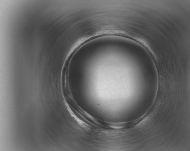 X0000061121046200511241704