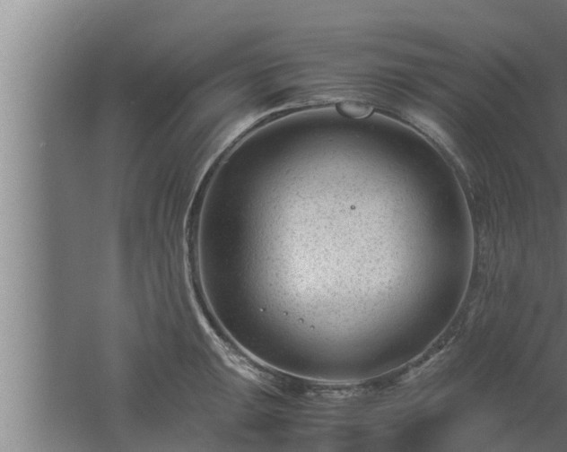 X0000061121047200511241704